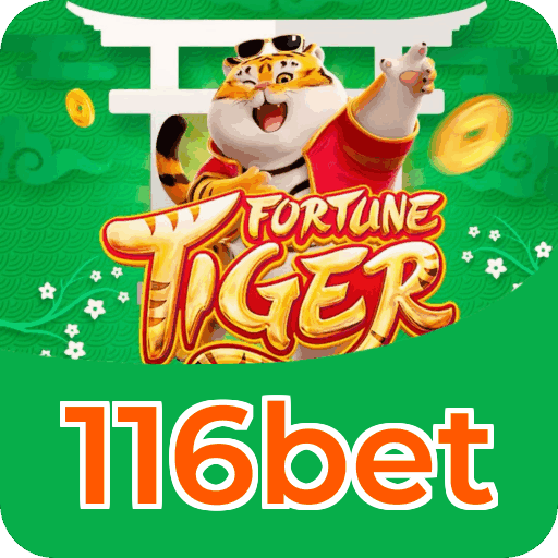 Métodos de pagamento aceitos na 116bet